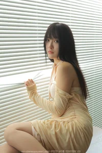 Professional Style and Elegance: IESS SXJ No.1675 Featuring Wan Ping - image 69