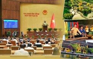 Top 10 Cultural, Sports, and Tourism Highlights of 2024 - image 19