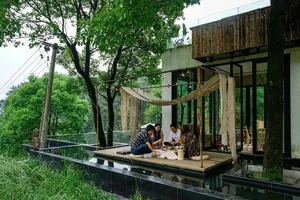 From High-Powered Career to Mountain Sanctuary: A Former Editor’s Dream Home in the Serene Suburbs - image 0