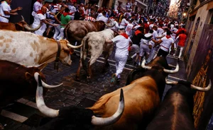 The Thrill of the 'Running of the Bulls': A Cultural Phenomenon in Spain - image 3