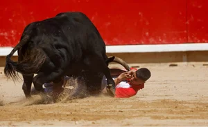 The Thrill of the 'Running of the Bulls': A Cultural Phenomenon in Spain - image 1
