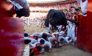 The Thrill of the 'Running of the Bulls': A Cultural Phenomenon in Spain - image 8
