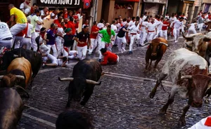 The Thrill of the 'Running of the Bulls': A Cultural Phenomenon in Spain - image 7