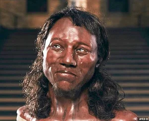 Scientific Breakthrough: Reconstructing the Face of a Prehistoric Woman - Insights from Knowledge and Life News - image 1