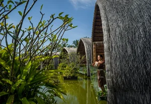 Celebrating Tet in Paradise: Traditional Activities at Phu Quoc Resorts - image 5