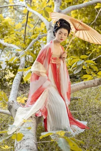 YiTuYu Art Language Vol.6451: The Radiant Charm of Xia Han Han - image 3