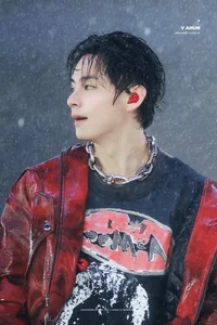 BTS V Stuns Fans with Athleticism: The Viral Fence Jump Moment - image 4