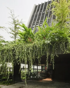 Innovative Urban Architecture: Exploring the Stunning Infinity Garden Townhouse Design - image 2