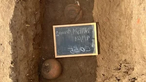 Extraordinary Discovery in Egypt: Ancient Tower House Linked to Snake Goddess - image 8