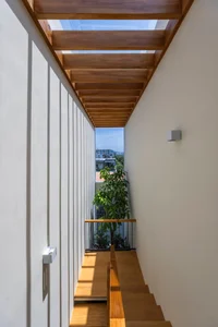 Urban Greenery: Designing Lush Townhouse Oases Amidst the Concrete Jungle - image 0