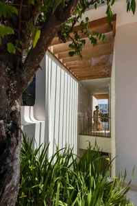 Urban Greenery: Designing Lush Townhouse Oases Amidst the Concrete Jungle - image 12