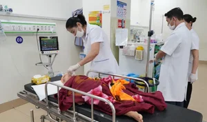 Missing Hanoi Student Found Safe in Tam Dao Mountains After Search - image 1