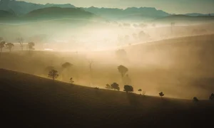 Moc Chau Winter Guide: 5 Must-Visit Check-in Spots - image 0