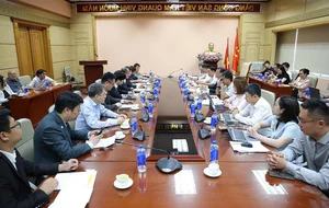 Deputy Minister Nguyen Tri Thuc Strengthens Ties with Sunwah Group and Chinese Enterprises - image 6