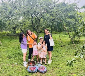 June Family Travel Guide: Best Destinations for the Perfect Summer Break - image 1