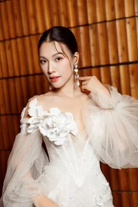 Lan Phương and Vietnamese Stars Navigating Life After International Marriages - image 2