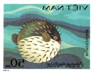 Close-up of Porcupinefish: Master of Defense with Sharp Spines, a Predator's Unforgettable Bite in the Deep Sea - image 7