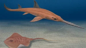 Scientists Discover New Prehistoric Saw-Shaped Shark Species with Unique Evolution - image 2