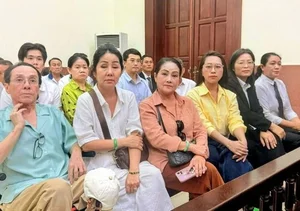 Hong Loan Confronts Hong Phuong in Ongoing Legal Battle Over Vu Linh Inheritance - image 2