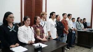 Hong Loan Confronts Hong Phuong in Ongoing Legal Battle Over Vu Linh Inheritance - image 1