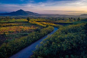 Top 7 Trending Travel Destinations in Vietnam for 2024: A Local Guide - image 0