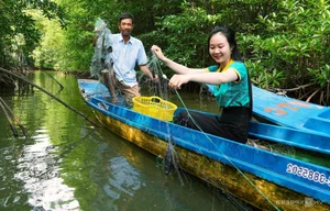 Traveling to the Southernmost Tip: Exploring Cape Ca Mau During the Spring Season - image 3