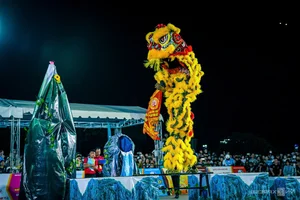29 Lion Dance Teams Compete in Vibrant Quy Nhon Festival - image 9