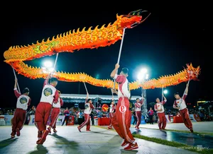 29 Lion Dance Teams Compete in Vibrant Quy Nhon Festival - image 3