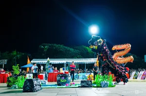 29 Lion Dance Teams Compete in Vibrant Quy Nhon Festival - image 5