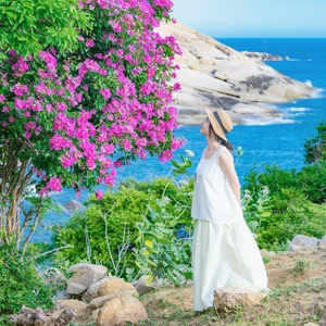 Experience the Stunning Purple Bloom of Giant Crape Myrtles at Mui Dinh This Summer - image 6