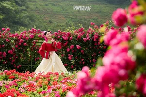 Spiritual Pilgrimage to Fansipan for Buddha's Birthday Celebration - image 7