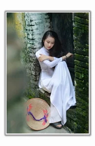 Top 100 Most Beautiful Ao Dai: A Tribute to Vietnamese Elegance - image 61