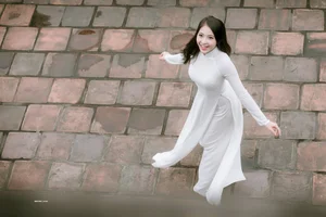 Top 100 Most Beautiful Ao Dai: A Tribute to Vietnamese Elegance - image 33