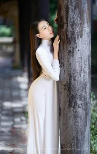 Top 100 Most Beautiful Ao Dai: A Tribute to Vietnamese Elegance - image 32