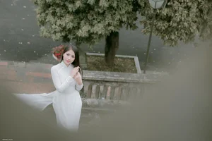 Top 100 Most Beautiful Ao Dai: A Tribute to Vietnamese Elegance - image 47