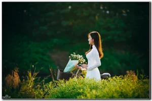 Top 100 Most Beautiful Ao Dai: A Tribute to Vietnamese Elegance - image 4