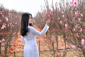 Top 100 Most Beautiful Ao Dai: A Tribute to Vietnamese Elegance - image 21