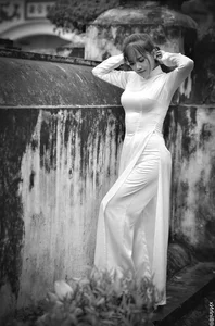 Top 100 Most Beautiful Ao Dai: A Tribute to Vietnamese Elegance - image 48