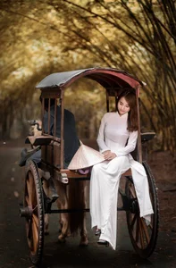 Top 100 Most Beautiful Ao Dai: A Tribute to Vietnamese Elegance - image 13