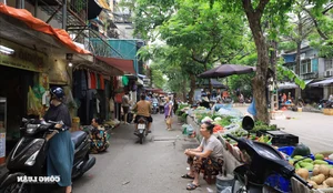 Challenges in Managing Spontaneous Markets and Street Vendors in Vietnam Urban Areas - image 1