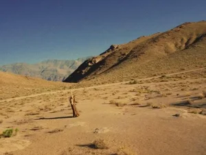 Dong Nhi Explores Paradox of Loneliness in Stunning US Desert Music Video - image 4