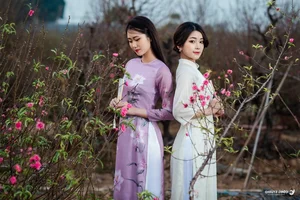 The Timeless Grace of Vietnamese Women in Traditional Ao Dai - image 21