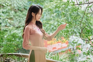 The Timeless Grace of Vietnamese Women in Traditional Ao Dai - image 12