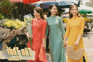 The Timeless Grace of Vietnamese Women in Traditional Ao Dai - image 1