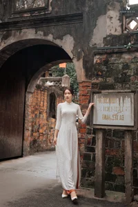 The Timeless Grace of Vietnamese Women in Traditional Ao Dai - image 45