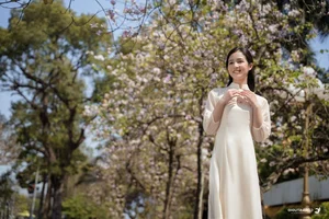 The Timeless Grace of Vietnamese Women in Traditional Ao Dai - image 16