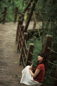 Shi San Jin Ya in the Bold Red YiTuYu Art Language Vol.7415 - image 16