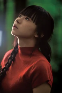 Shi San Jin Ya in the Bold Red YiTuYu Art Language Vol.7415 - image 1