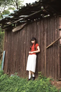 Shi San Jin Ya in the Bold Red YiTuYu Art Language Vol.7415 - image 24