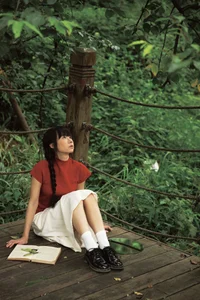 Shi San Jin Ya in the Bold Red YiTuYu Art Language Vol.7415 - image 10
